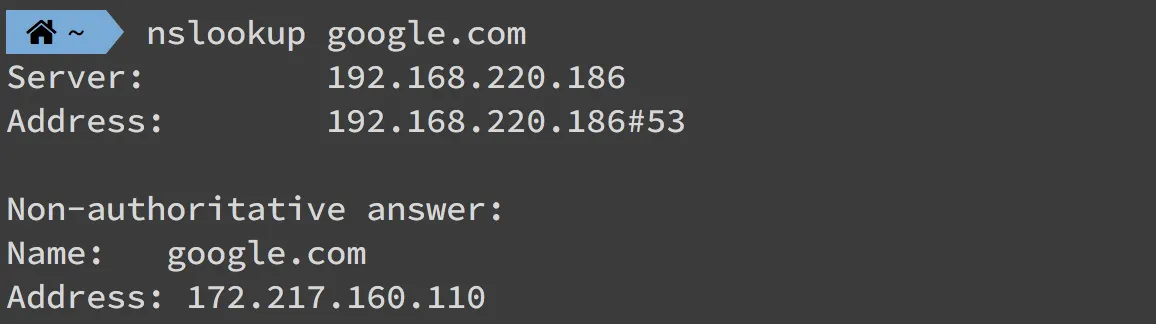 設定好 DNS 後，確認回應是否正常（nslookup）（圖 20）