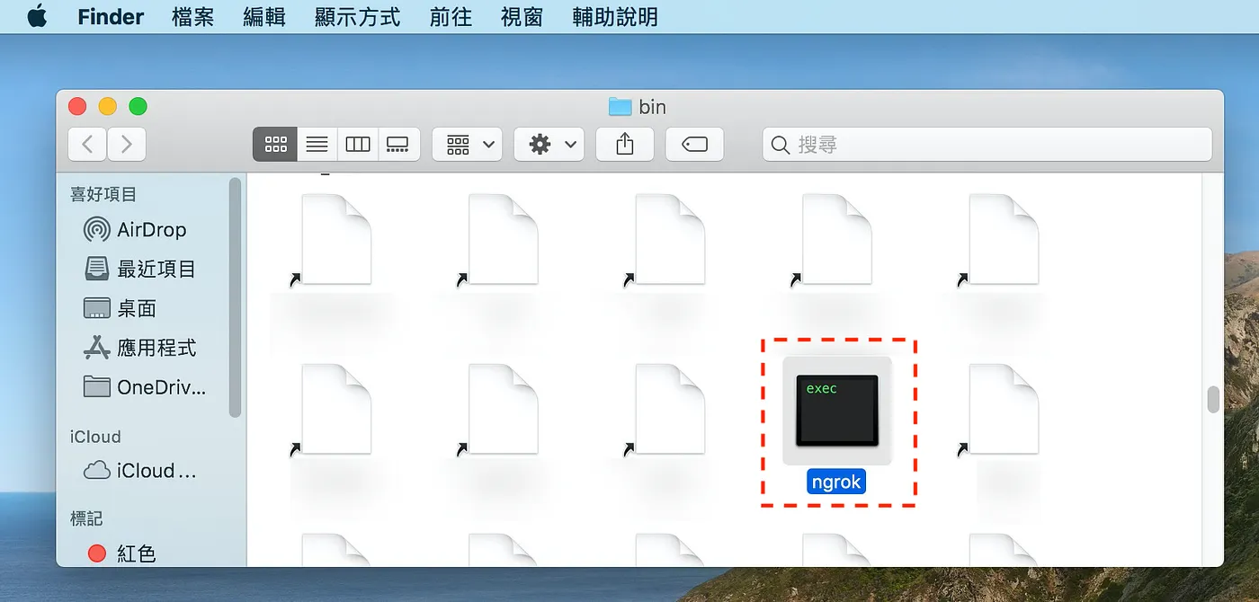 在 local 建立一個可以讓 Line 訪問的 HTTP server（ngrok）（圖 7）