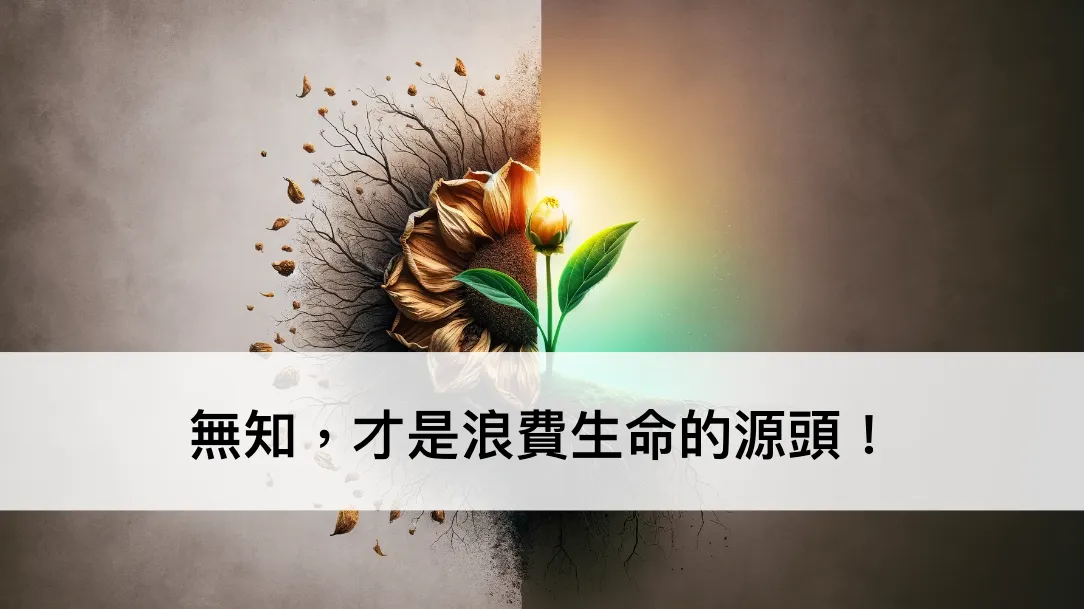 ── 我在重訓受傷、醫生誤診後的 5 個人生體悟（圖 1）