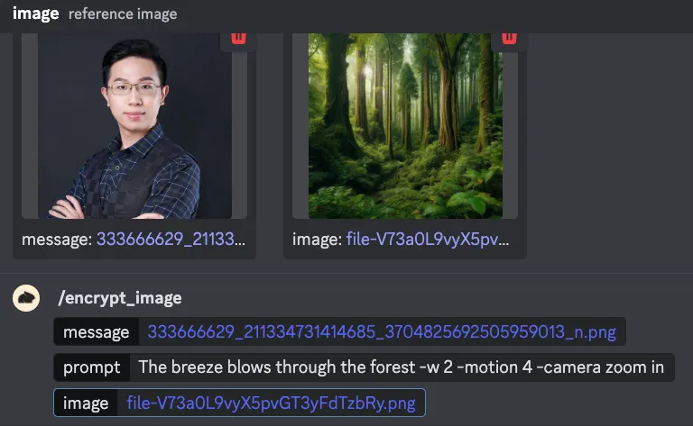 五、「/encrypt_image」讓影片出現加密圖片（圖 19）