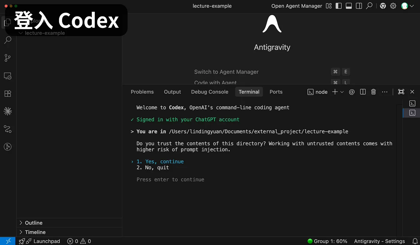 安裝 Codex(圖 6)